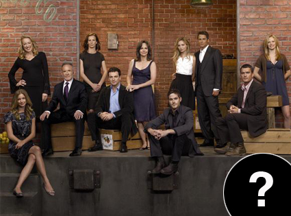 Brothers & Sisters Cast, question mark Brothers & Sisters Cast, question mark